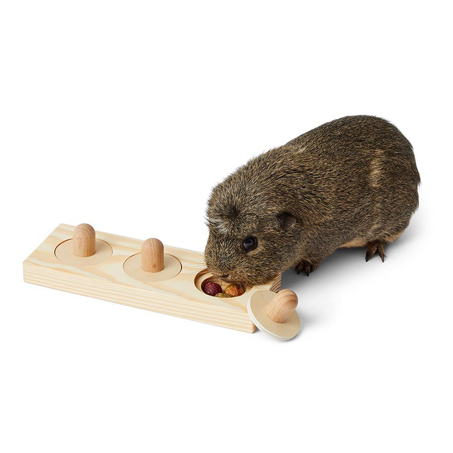 Pets at Home Small Animal Active Play Treat Puzzle