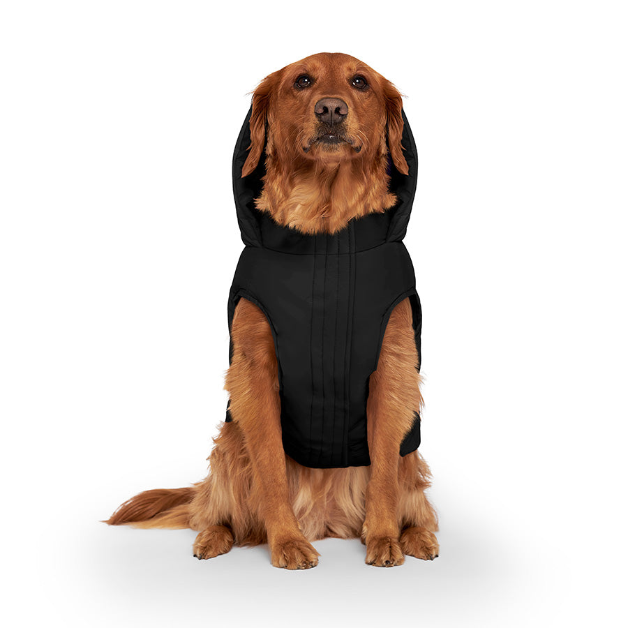 Canada Pooch Waterproof Puffer Dog Jacket Black X Small