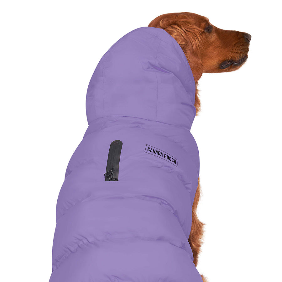 Canada Pooch Waterproof Puffer Dog Jacket Violet X Small