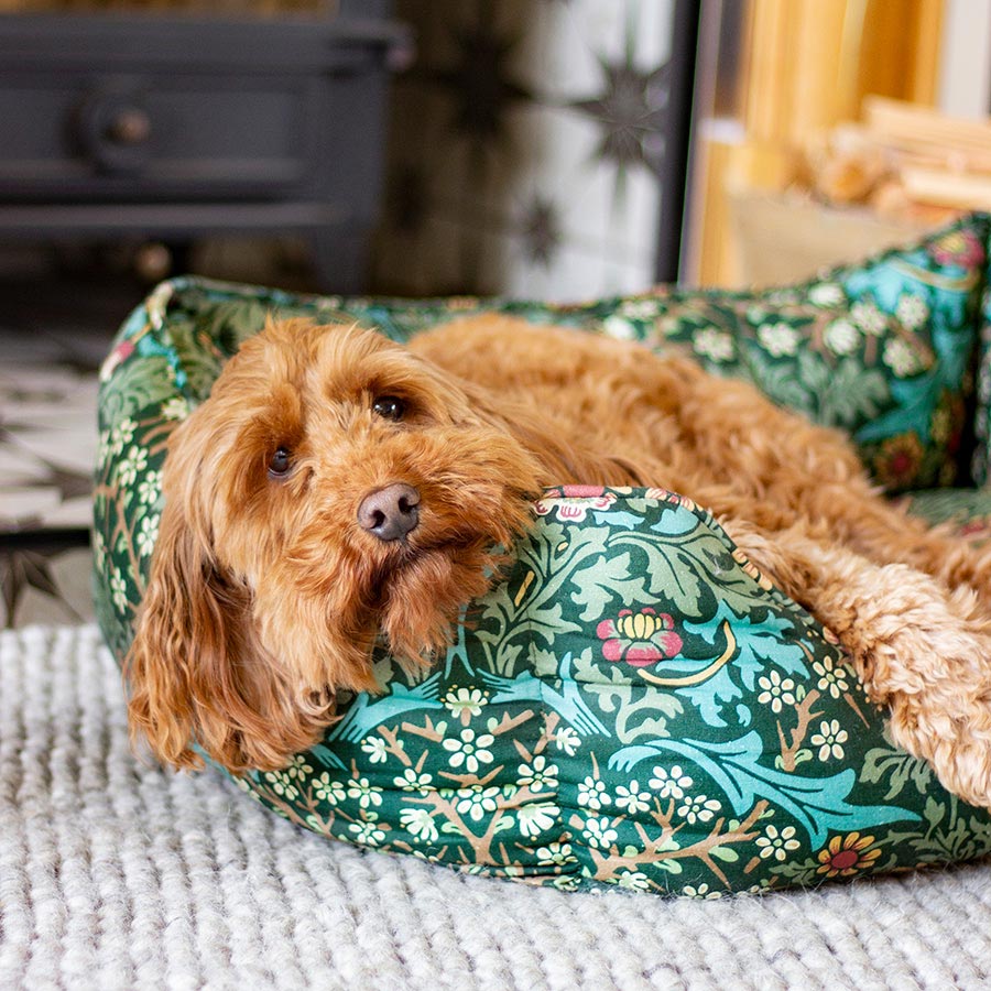 William Morris Square Dog Bed Blackthorn Print