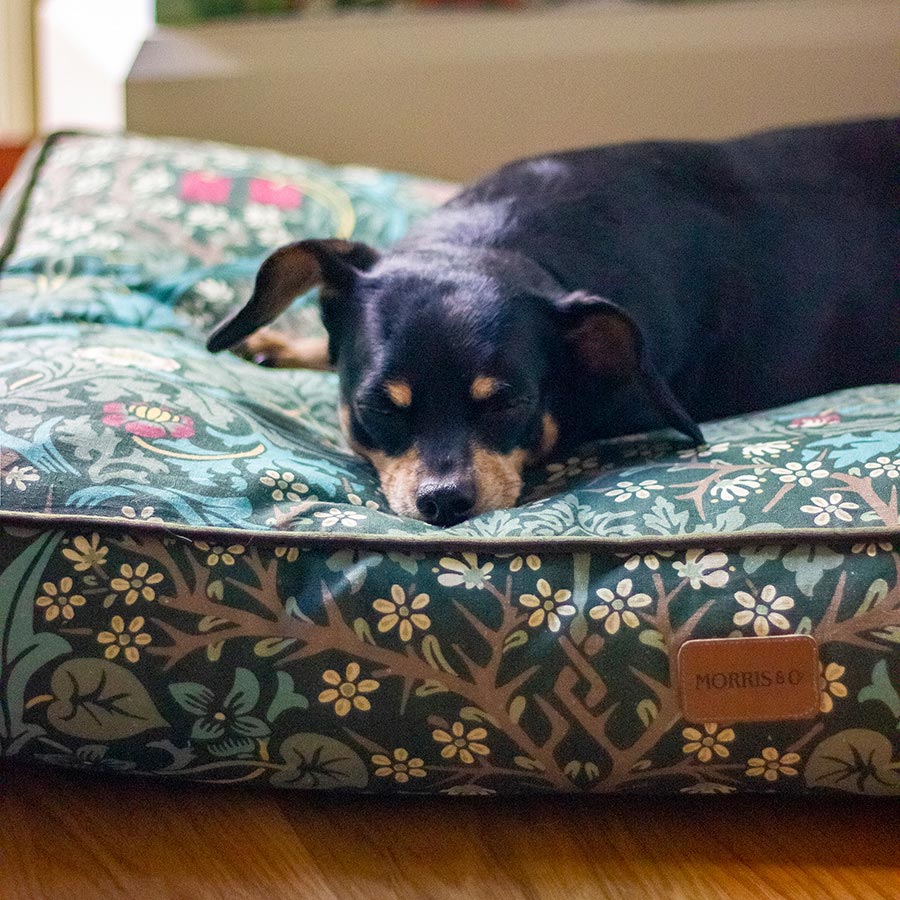 William Morris Pet Mattress Blackthorn Print Large