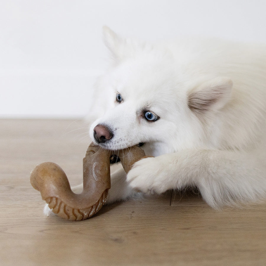 Benebone Tripe Bone Dog Toy Medium