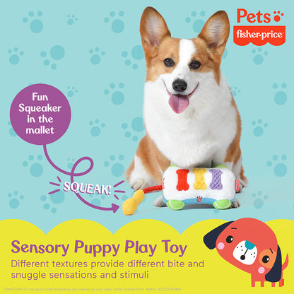 Fisher Price Sound-Bites Plush Puppy Toy