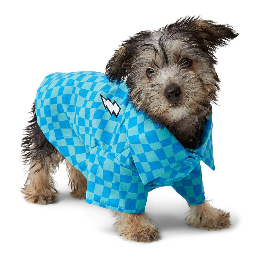 Pets at Home Checkerboard Collared Dog Shirt Blue