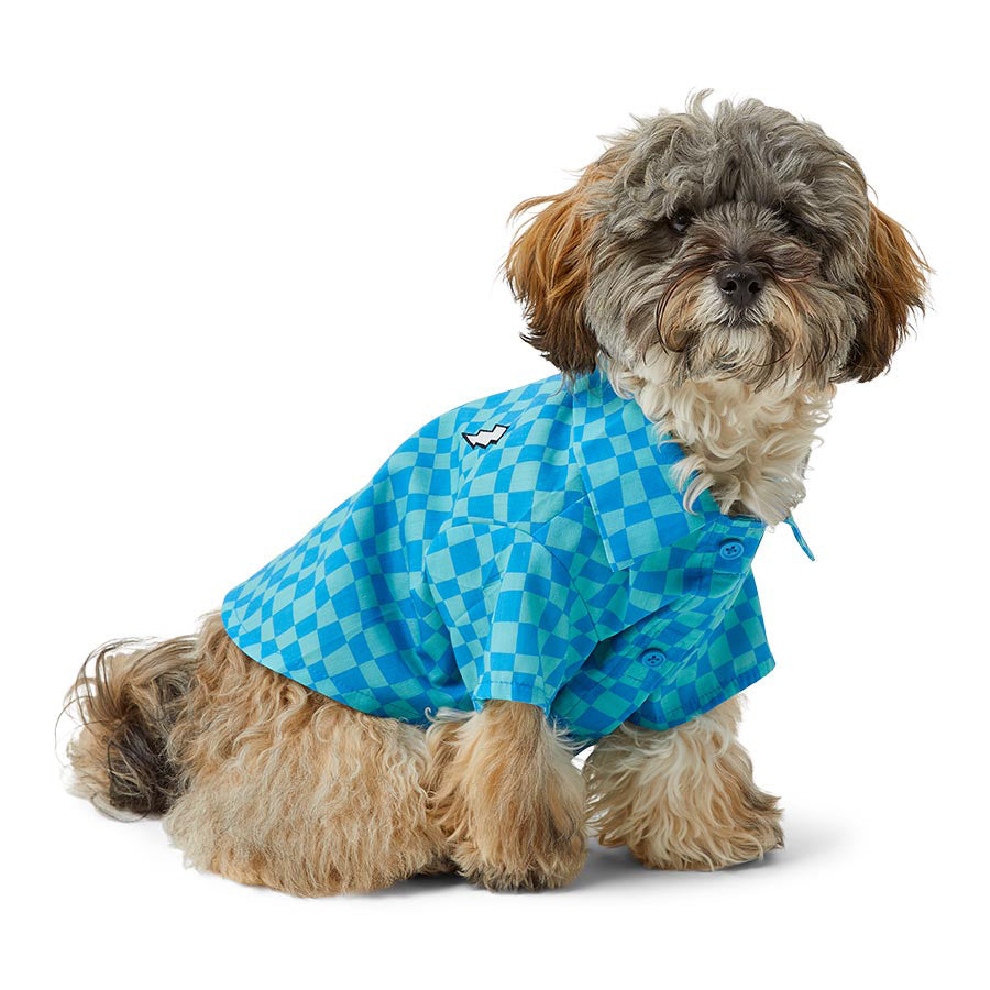 Pets at Home Checkerboard Collared Dog Shirt Blue