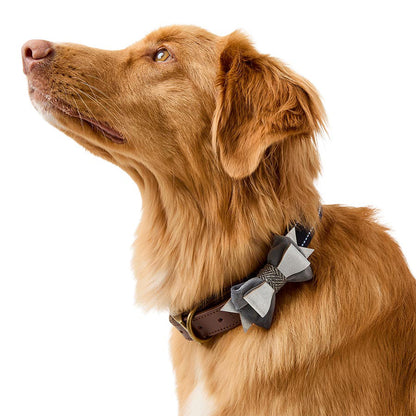 Wainwright's Herringbone Dog Bowtie & Bandana Set Grey