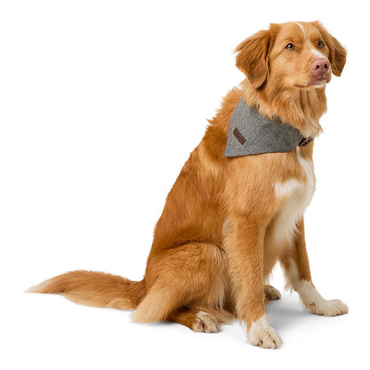 Wainwright's Herringbone Dog Bowtie & Bandana Set Grey