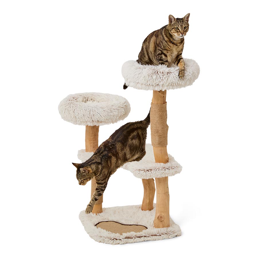 Pets at Home Jasper multi Snooze & Scratch