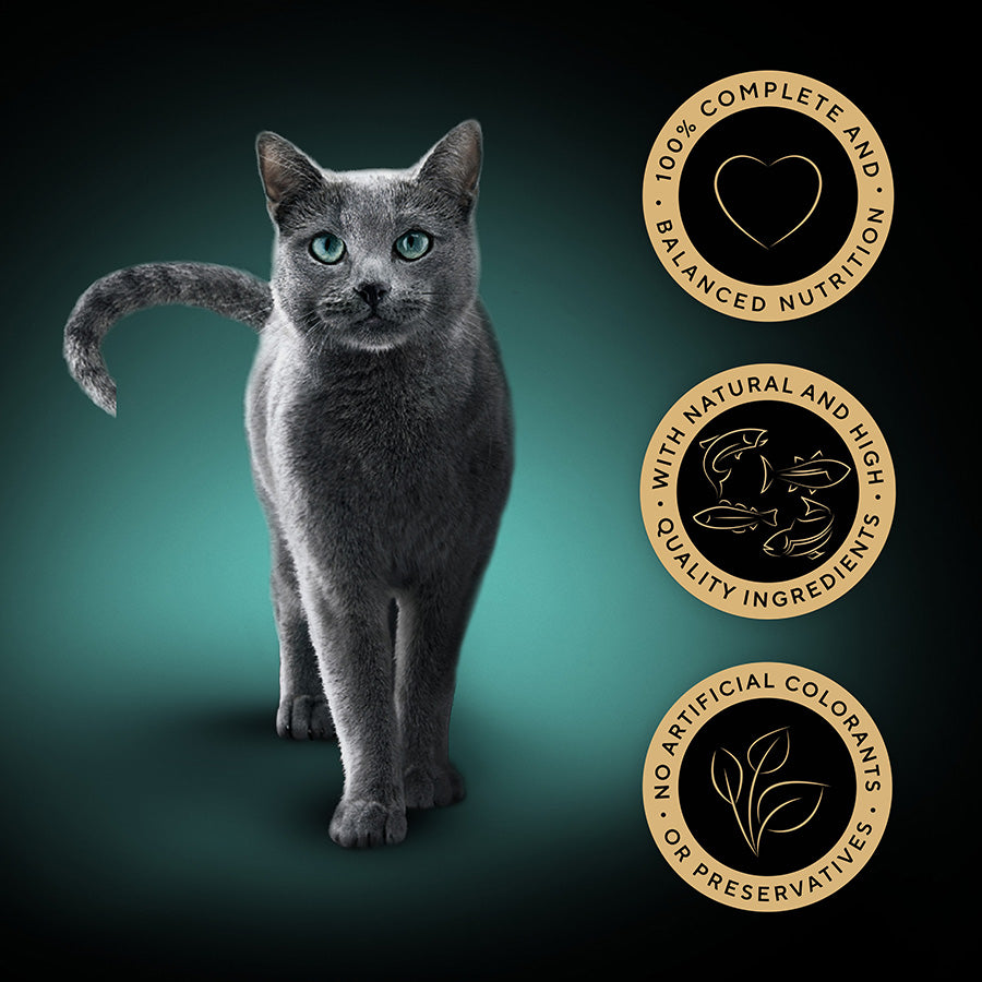 Sheba Sauce Collection Wet Adult Cat Food Fish Selection 40 x 85g Pouches