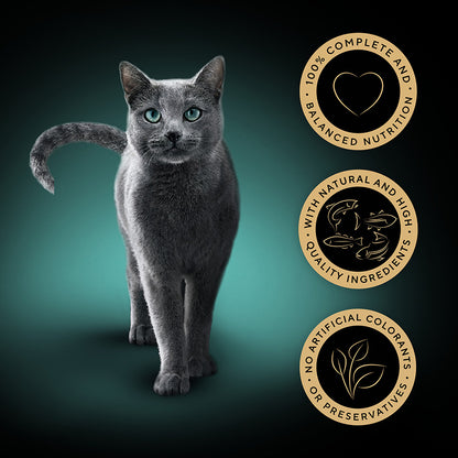 Sheba Sauce Collection Wet Adult Cat Food Fish Selection 40 x 85g Pouches