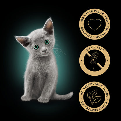 Sheba Mixed Selection Wet Kitten Food in Gravy 40x85g Pouches