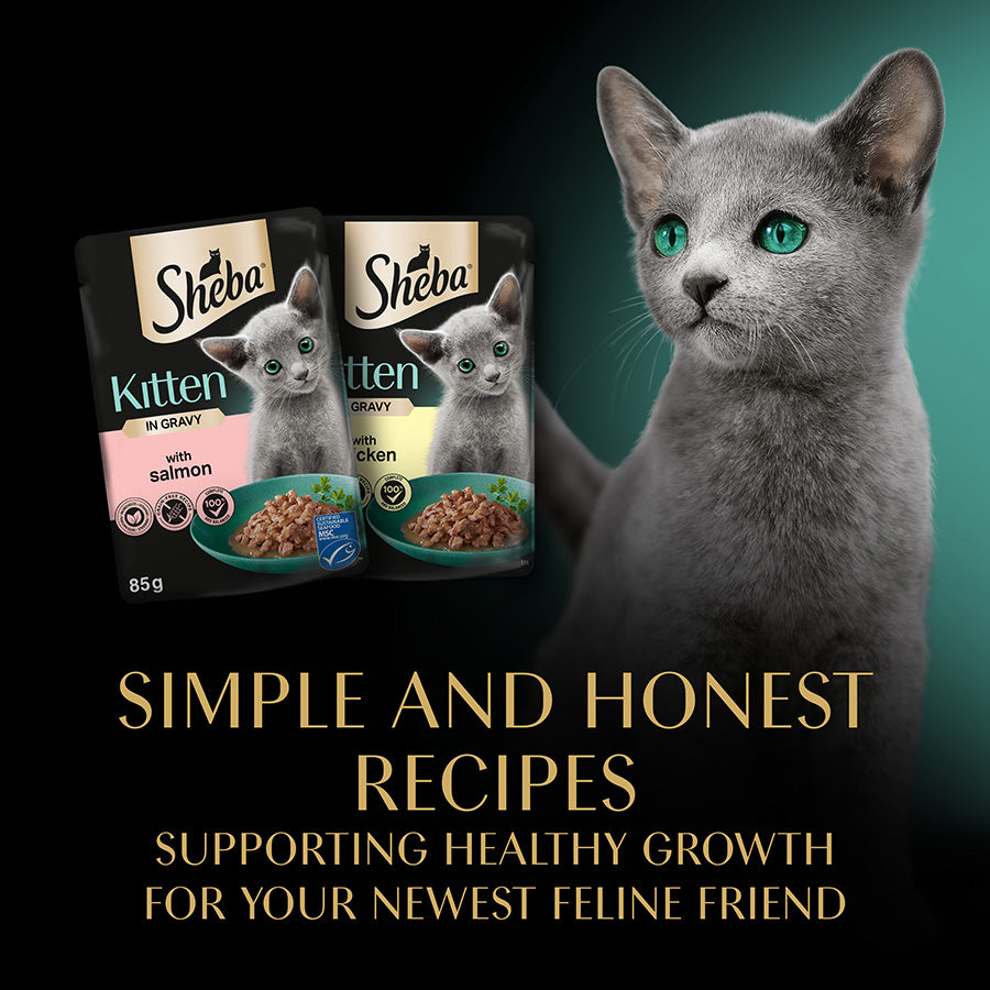 Sheba Mixed Selection Wet Kitten Food in Gravy 40x85g Pouches