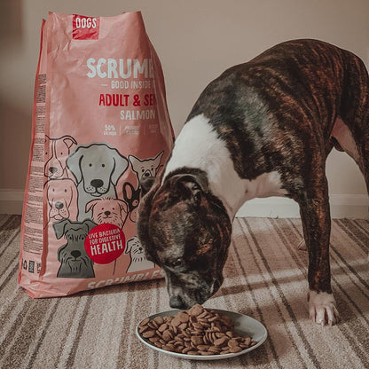 Scrumbles Complete Dry Adult and Senior Dog Food Salmon