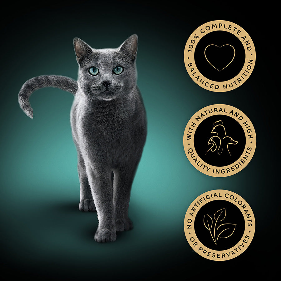 Sheba Select Slices Mixed Poultry Selection in Gravy Wet Adult Cat Food 120 x 85g