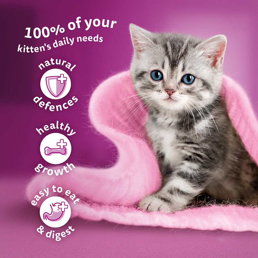 Whiskas Kitten Wet Cat Food Poultry Feasts in Jelly 40 x 85g Pouches