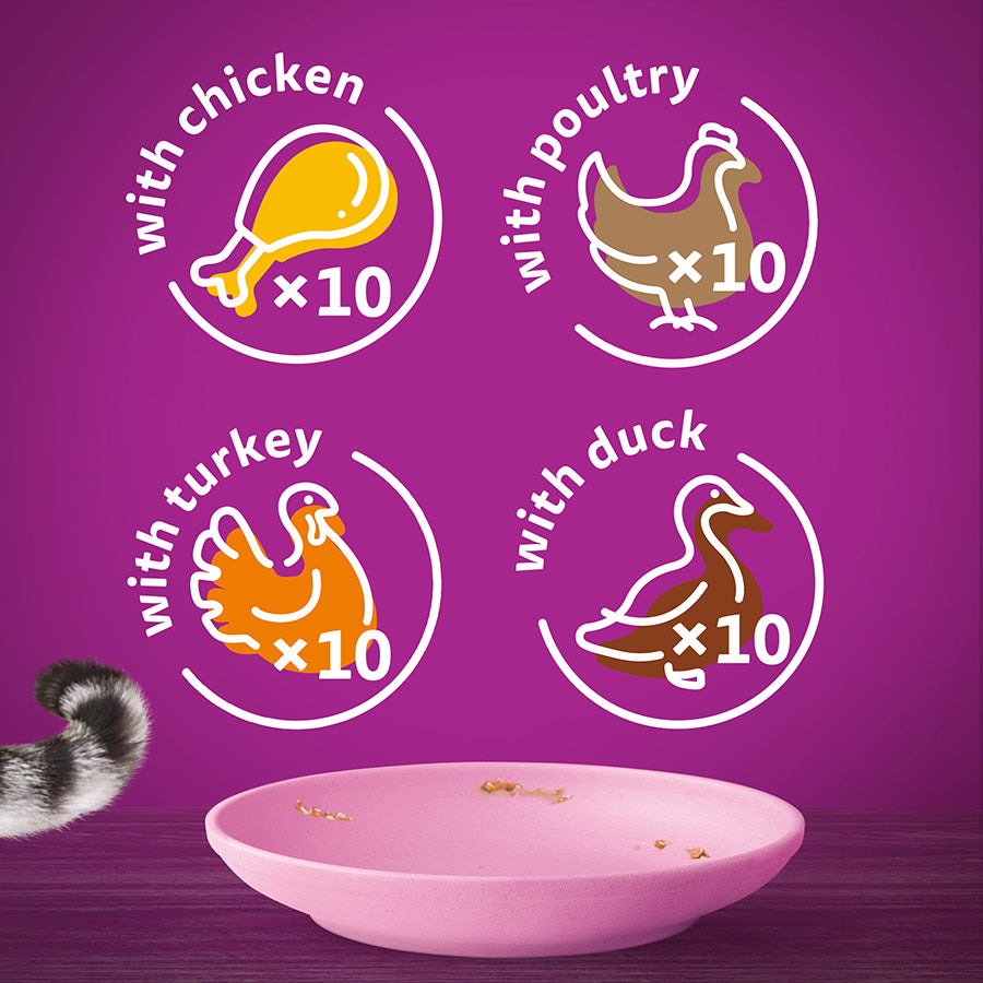 Whiskas Kitten Wet Cat Food Poultry Feasts in Jelly 40 x 85g Pouches