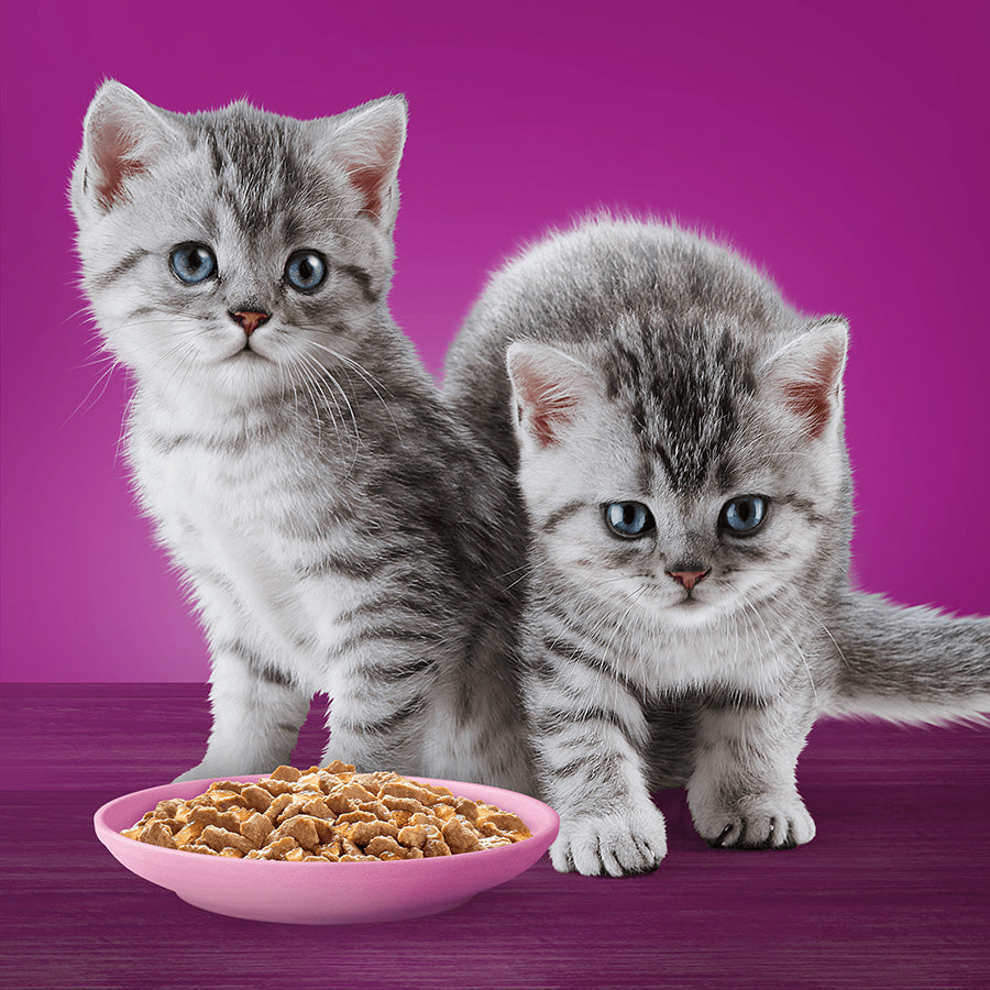 Whiskas Kitten Wet Cat Food Poultry Feasts in Jelly 40 x 85g Pouches