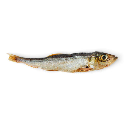 Pets at Home Dog Treats Sprats