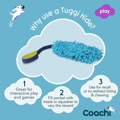 Coachi Tuggi Hide Dog Toy Blue & Lime