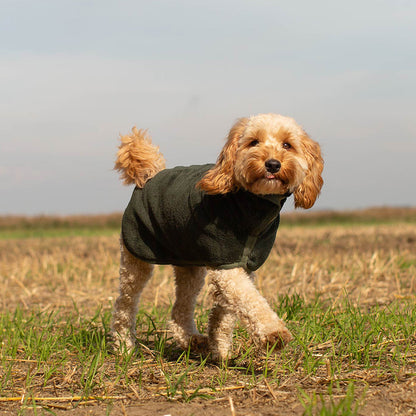 Lords & Labradors Bamboo Fir Dog Drying Coat Green