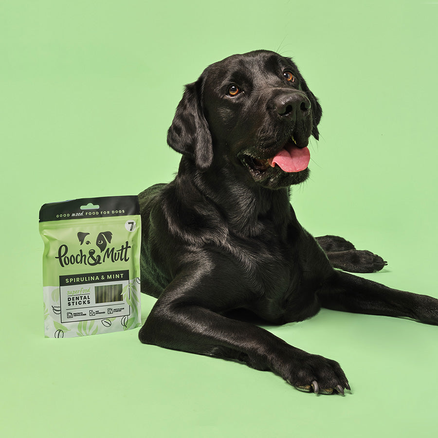 Pooch and Mutt Superfoods Dental Stick Dog Treats 251g 7 Pack