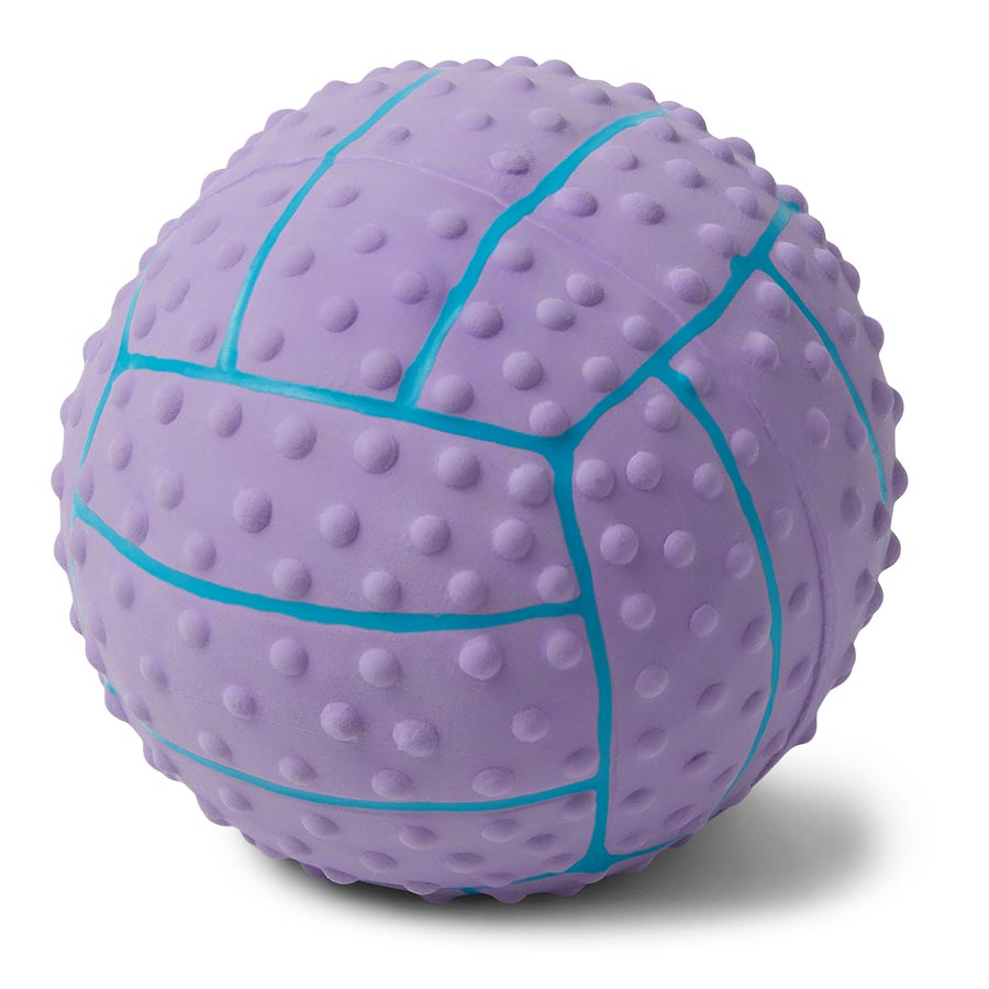 Pets at Home Latex Ball Squeaky Dog Toy Small