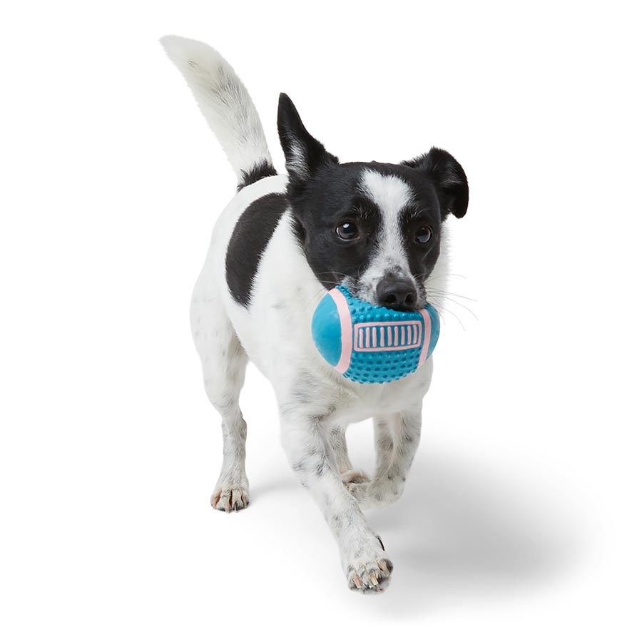 Pets at Home Latex Ball Squeaky Dog Toy Small