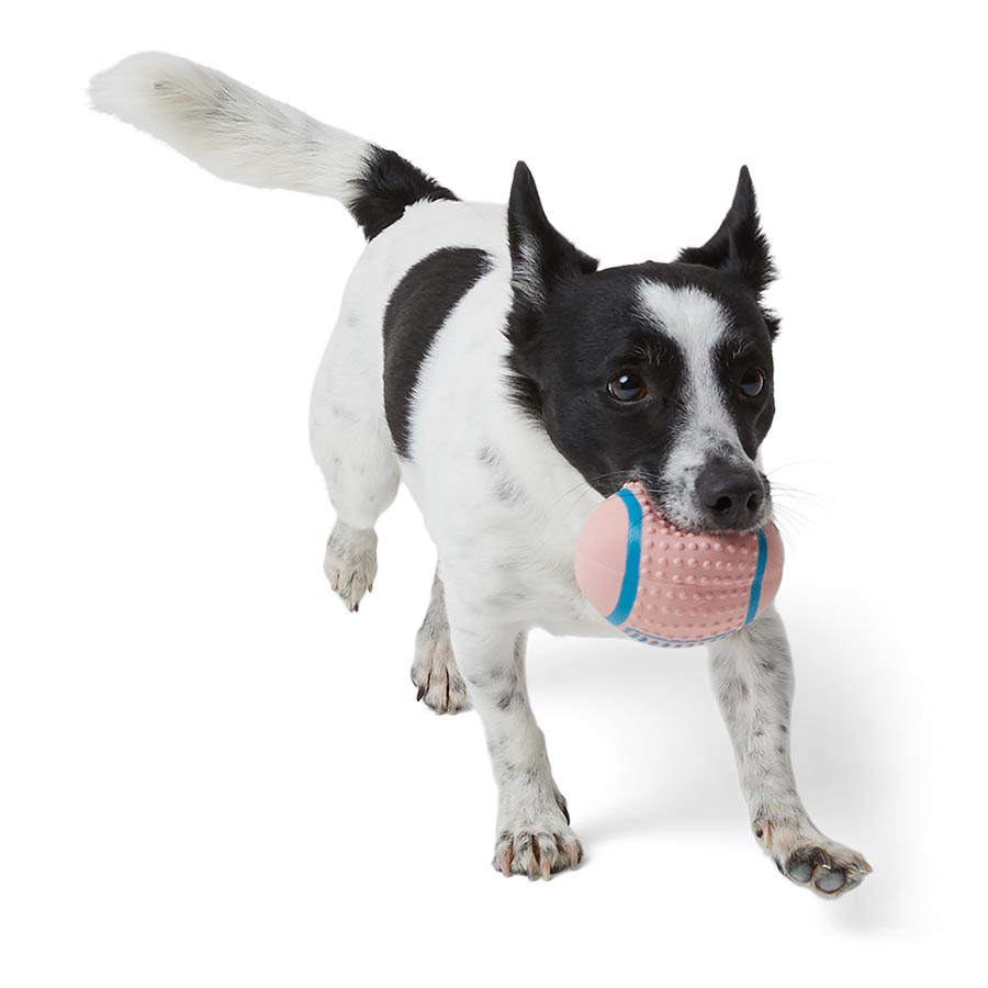 Pets at Home Latex Ball Squeaky Dog Toy Small
