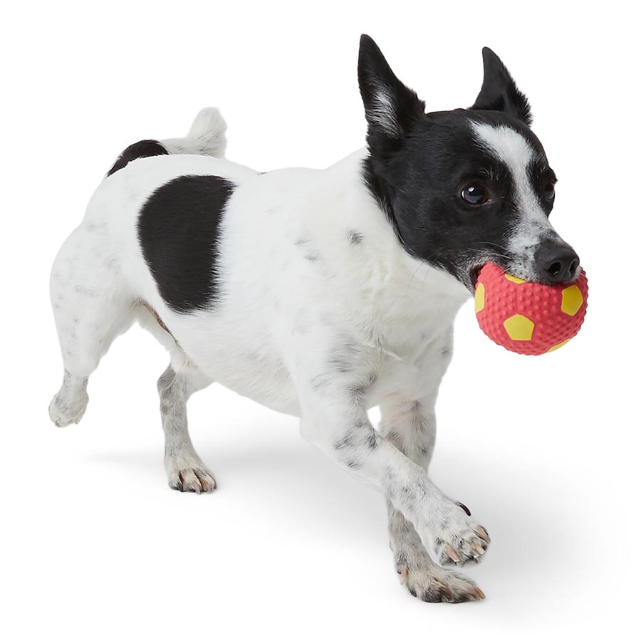 Pets at Home Latex Ball Squeaky Dog Toy Small
