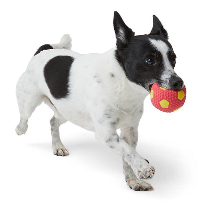 Pets at Home Latex Ball Squeaky Dog Toy Small