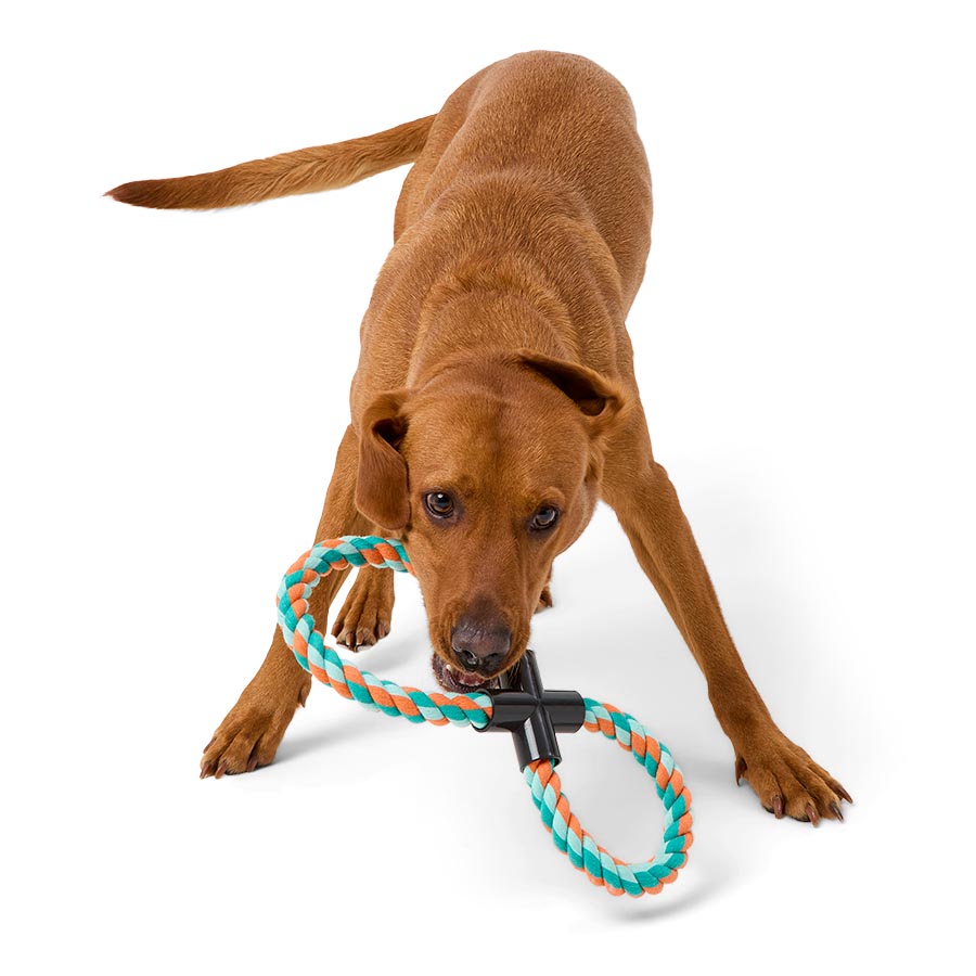 Pets at Home Rope Figure 8 Dog Toy