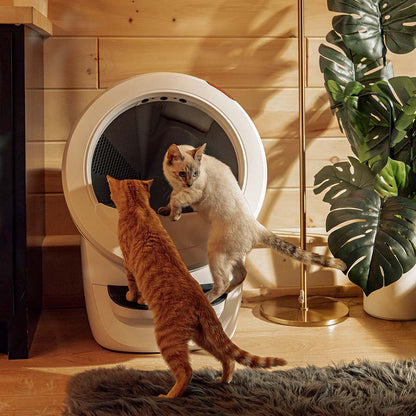 Litter-Robot Cat Litter Tray 4 White