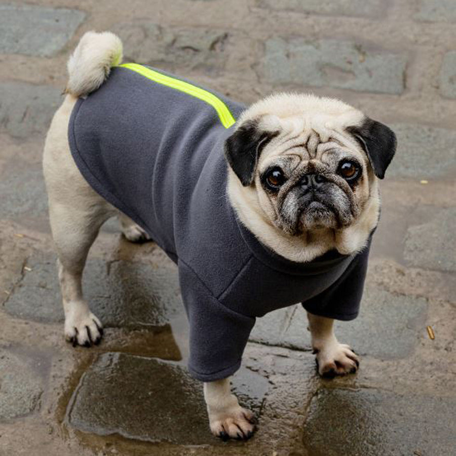 Stix & Co Pug Dog Coat Charcoal