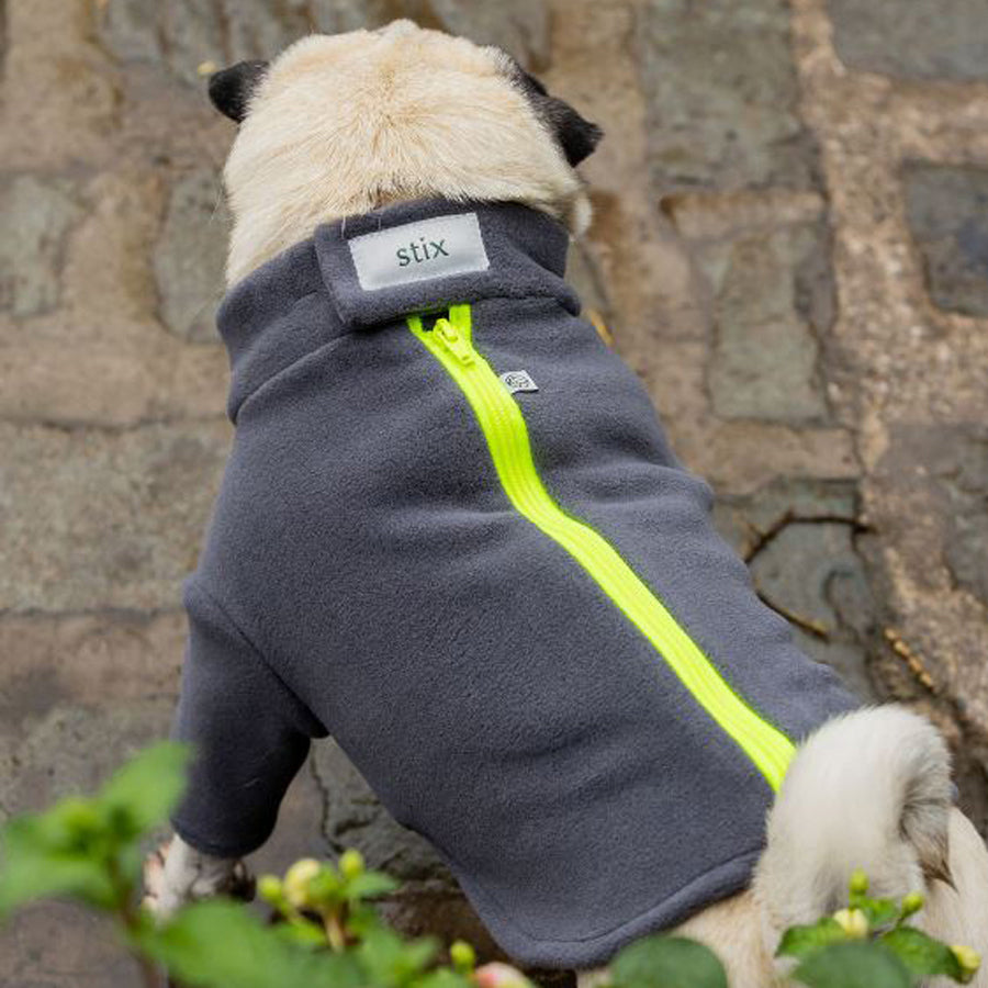 Stix & Co Pug Dog Coat Charcoal