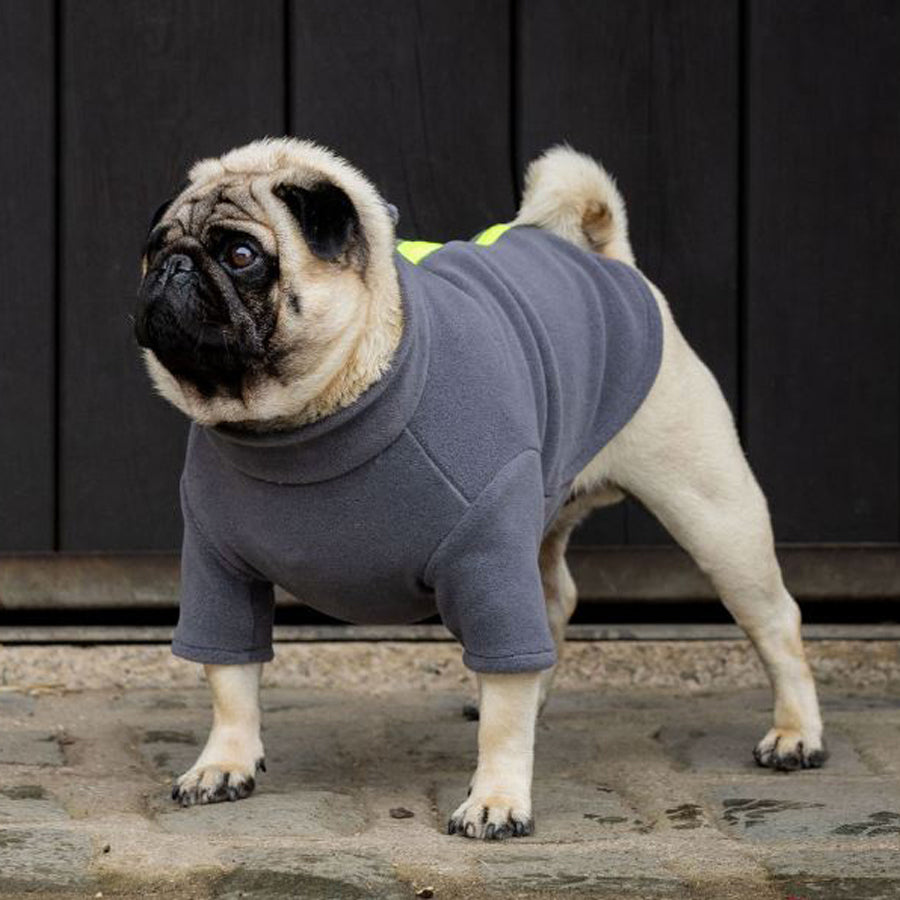 Stix & Co Pug Dog Coat Charcoal