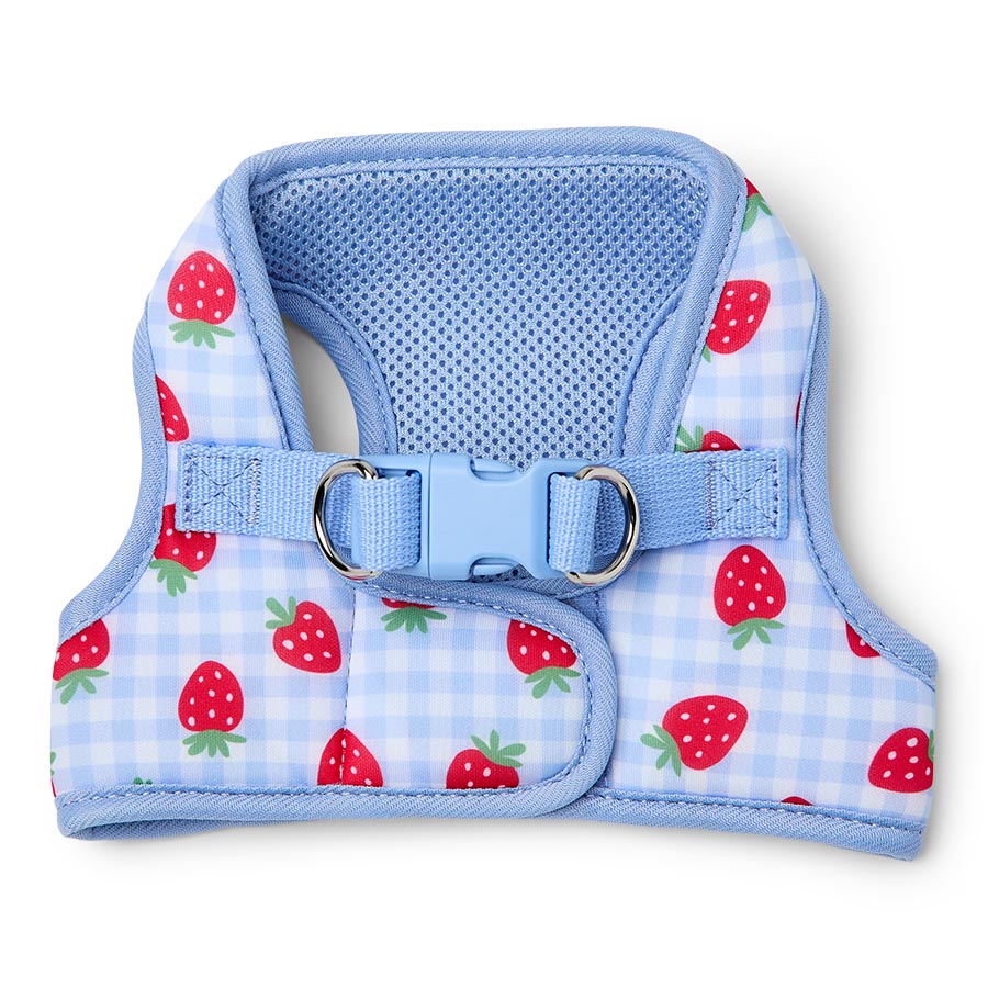 Pets at Home Strawberry Picnic Dog Harness Blue