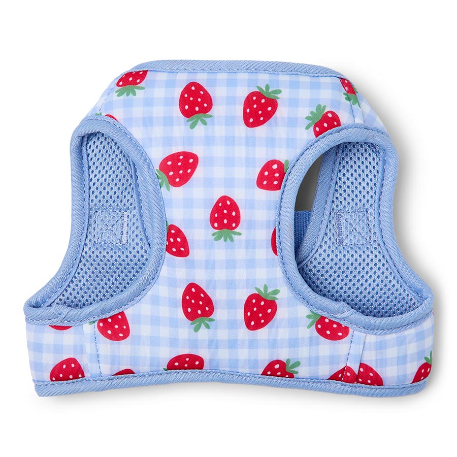 Pets at Home Strawberry Picnic Dog Harness Blue