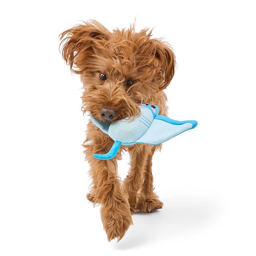 Pets at Home Float & Fetch Stevie the Stingray Squeaky Cooling Dog Toy