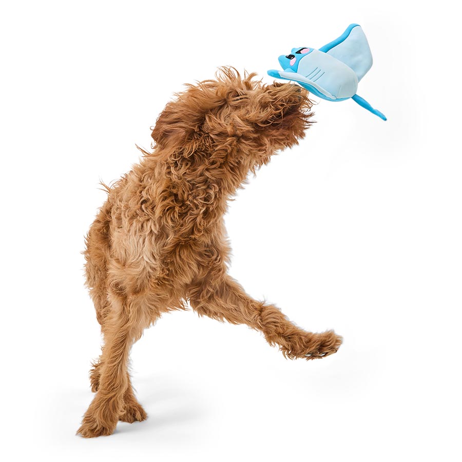 Pets at Home Float & Fetch Stevie the Stingray Squeaky Cooling Dog Toy