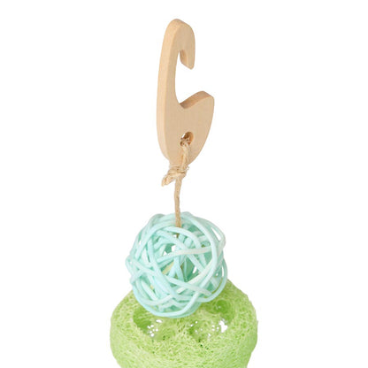 Pets at Home Small Animal Multi Texture Activity Gnaw