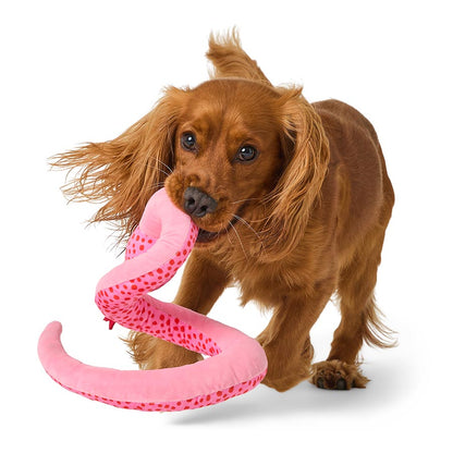 Pets at Home Sunny Daze Plush Sssssuzy Snake Dog Toy Assorted