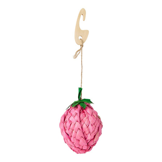 Pets at Home Sunny Daze Woven Cornleaf Strawberry Small Animal Gnaw