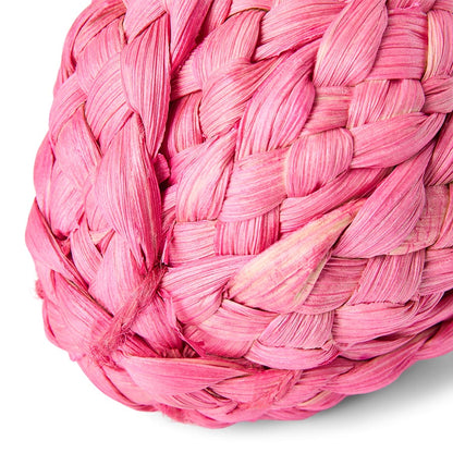 Pets at Home Sunny Daze Woven Cornleaf Strawberry Small Animal Gnaw