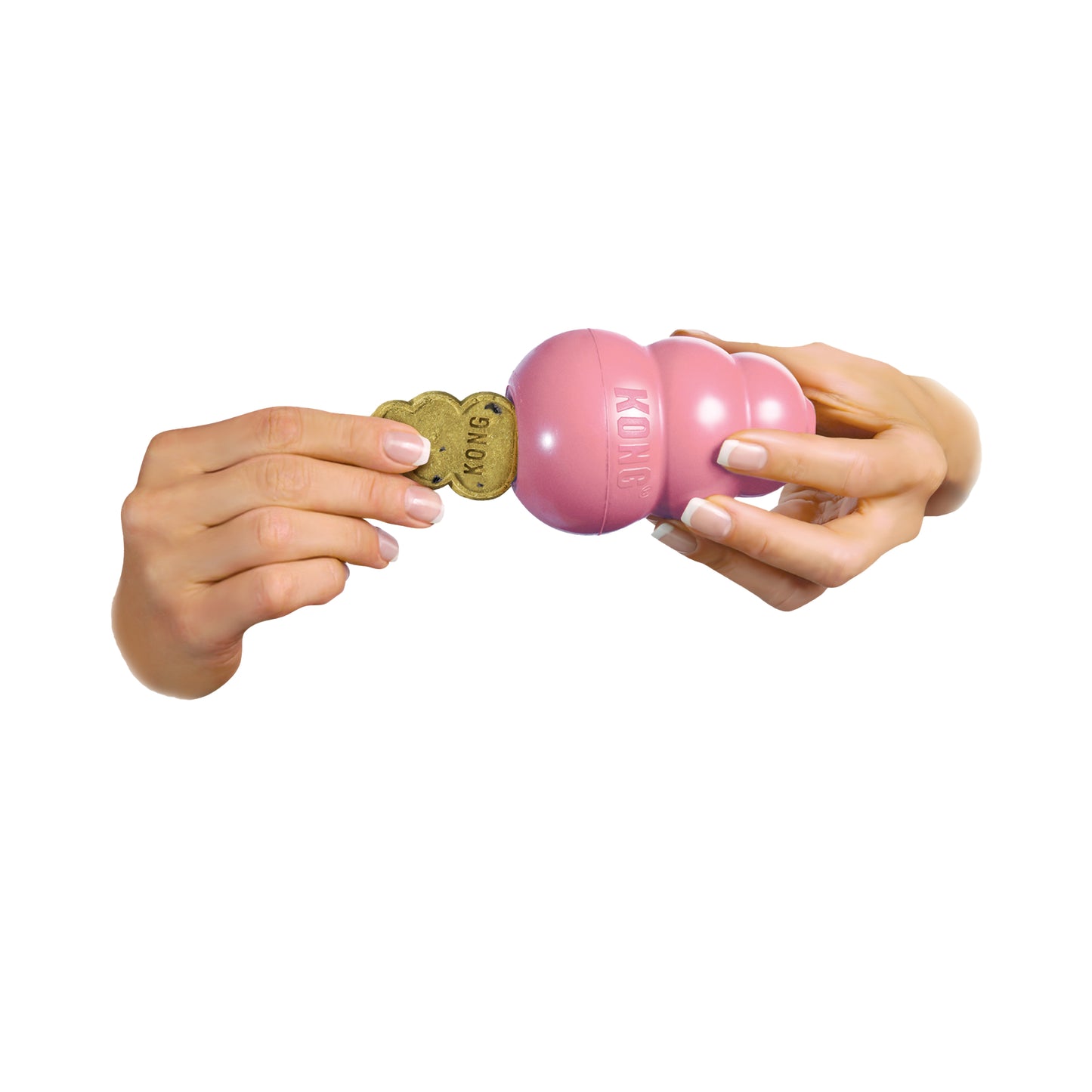 KONG Puppy Chew Treat Toy