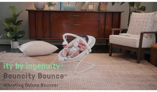 Ingenuity Bouncity Bounce Vibrating Deluxe Baby Bouncer