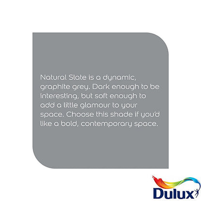 Dulux Easycare Bathroom Natural Slate Soft sheen Wall paint, 30ml