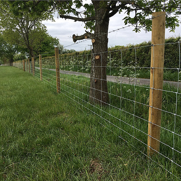 Forest Garden Natural Timber Garden stake (L)0.09m (W)85mm
