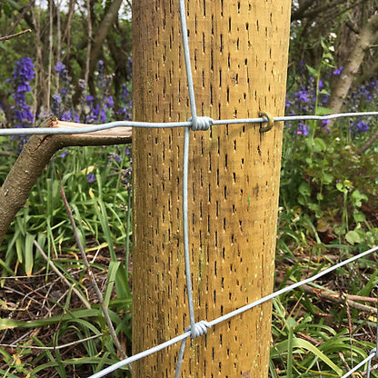 Forest Garden Natural Timber Garden stake (L)0.09m (W)85mm