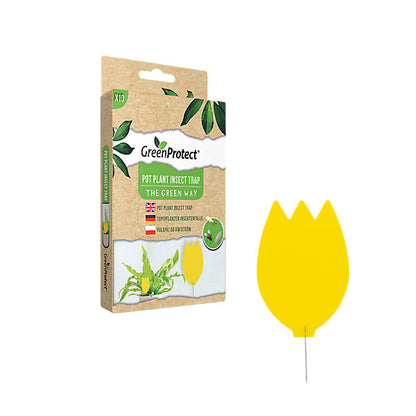 Green Protect Pot plant Insect Trap, Pack of 10