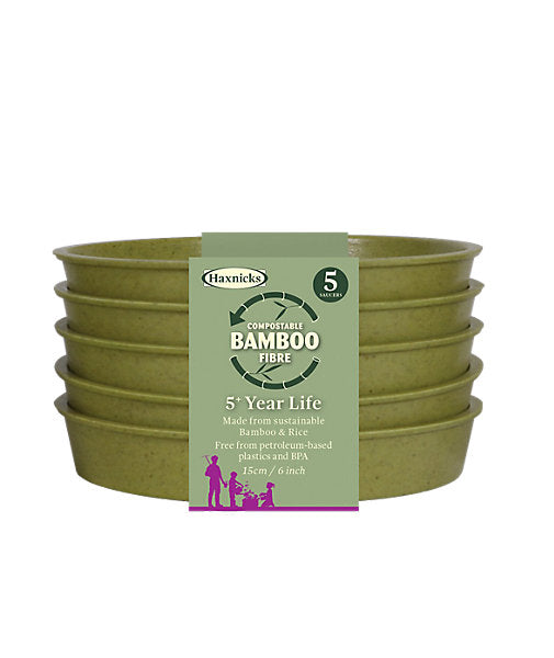Haxnicks Sage Green Saucer (Dia)15cm, Pack of 5